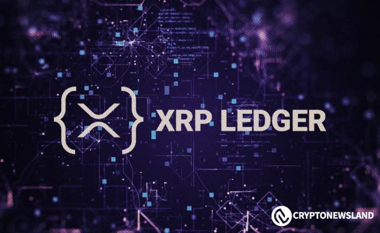 [尼约宇宙]XRP Ledger 活跃账户数超过 500 万
