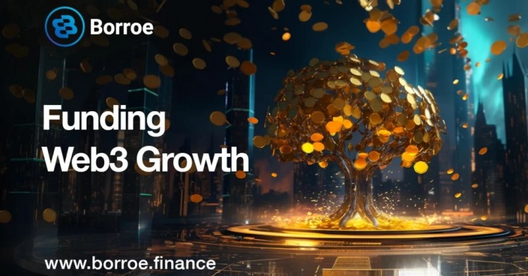 [阿扎达尔·赛恩]分析师预测 Borroe Finance 将强劲增长，
